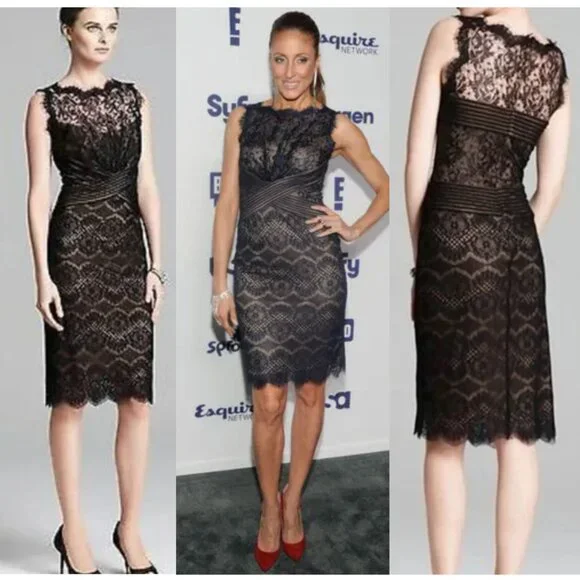 Tadashi Shoji Chantilly Lace Boatneck Sheath Midi Dress sz12 - Picture 4 of 16